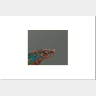 Colorful Chameleon Drawing on Gray Posters and Art